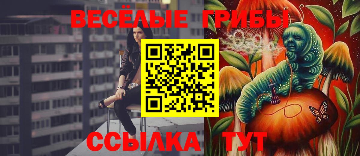Семёнов  Псилоцибиновые грибы Cubensis  Псилоцибиновые грибы прущие грибы  Вход с VPN 