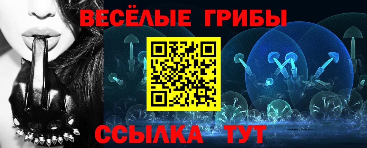 Псилоцибиновые грибы Psilocybine cubensis Семёнов